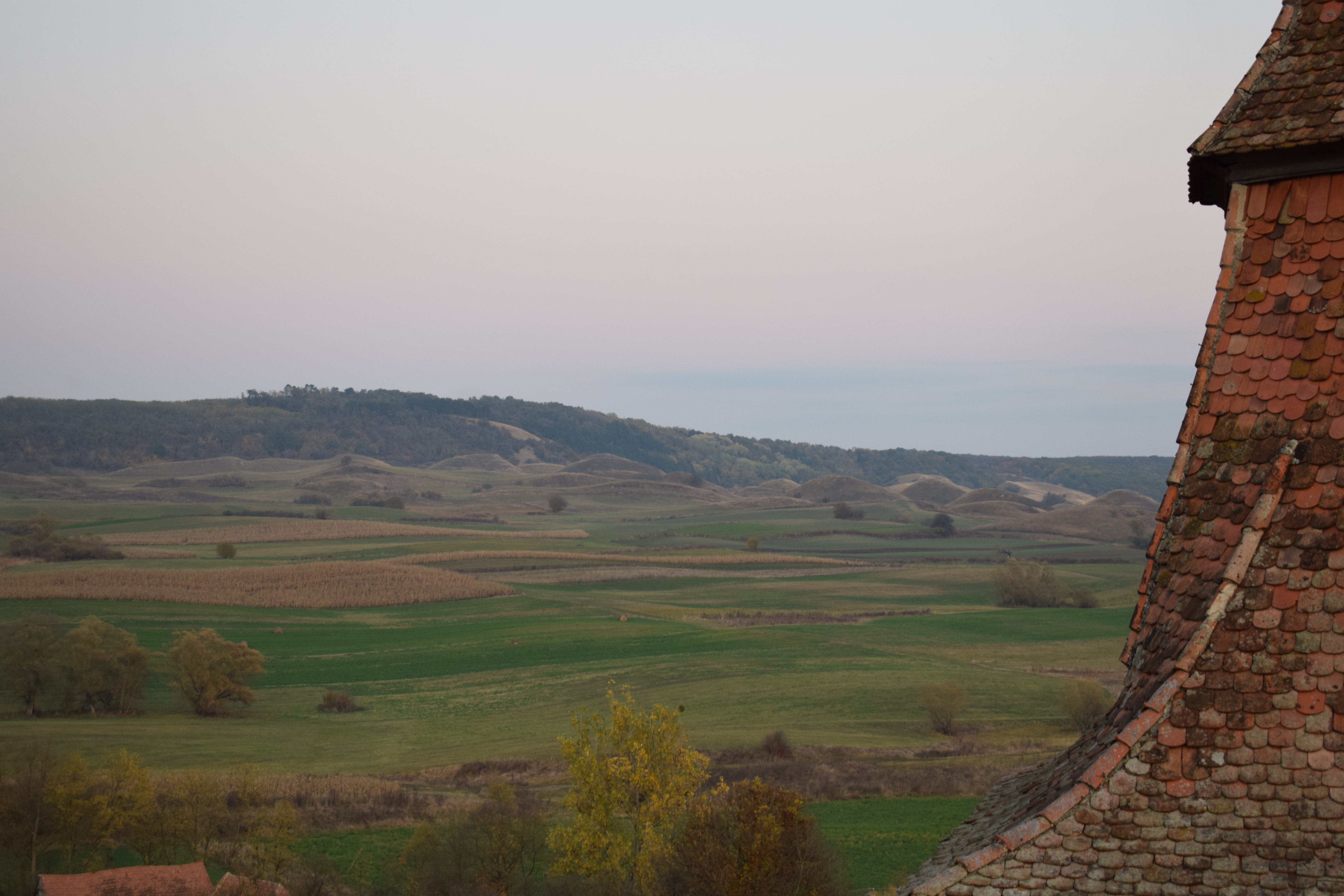 07-01.JPG