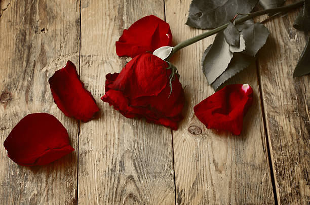 istockphoto.jpg
