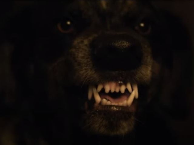 Hátborzongatóan jó előzetest kapott a Sator című horror
