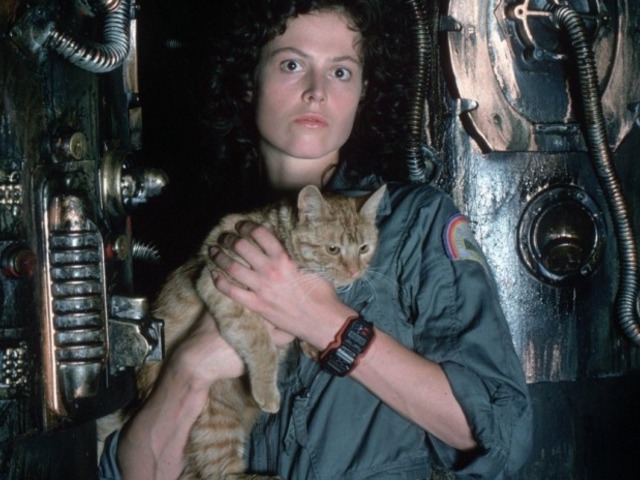 Saját képeskönyvet kapott az Alien-filmek macskája