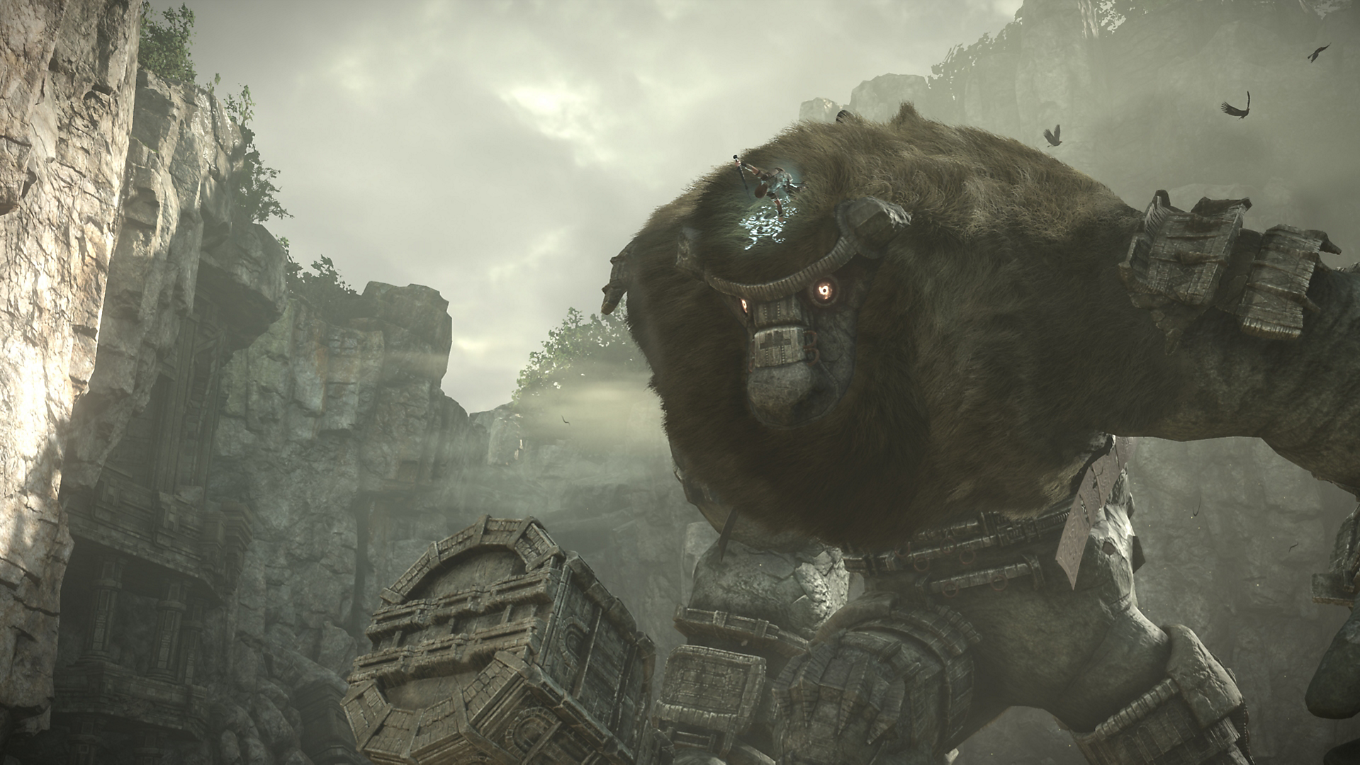 shadow of the colossus pc vs