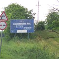 Budakeszi határában (június 9-én)