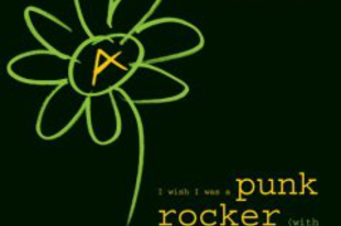 Sandi Thom: I wish I was a punk rocker