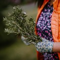 Kertészkedőknek, akadémikusoknak: KertAkadémia