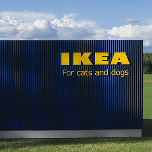 Az Ikea nagyot lépett: bútorok cicáknak és kutyáknak!