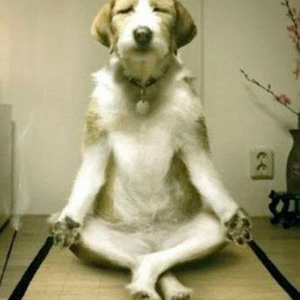 Tanulj meg meditálni egy pillanat alatt!