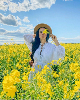 Reggeli Nesze