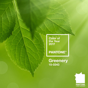 Hello békák, 2017 Pantone színe a "levélzöld" lett!