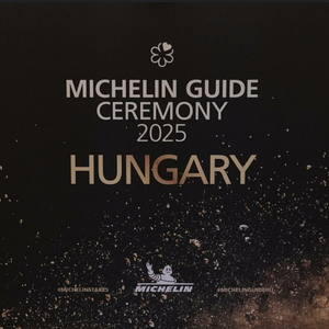 Bib, bib hurrá! Ők a Michelin Guide díjazottak!