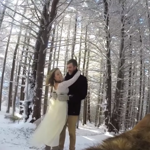 Csodálatos téli esküvő egy kutya szemszögéből