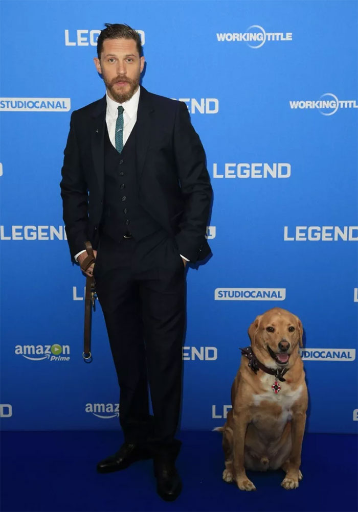 actor-tom-hardy-dog-passed-away-woodstock-593ab47546911_700.jpg