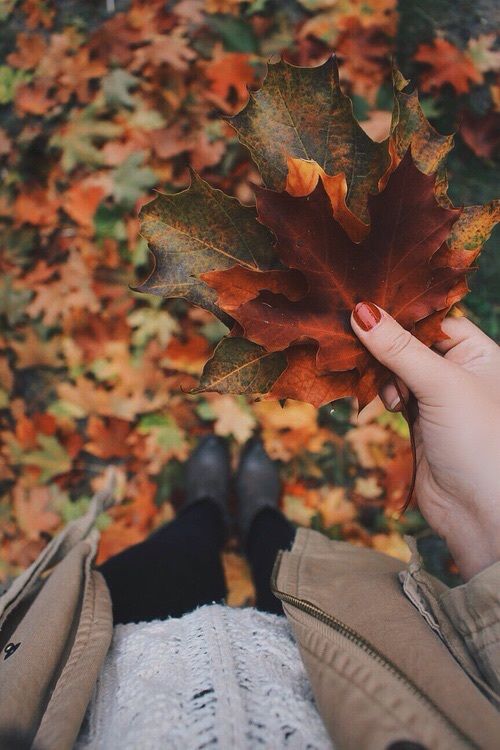 autumnlove.jpg