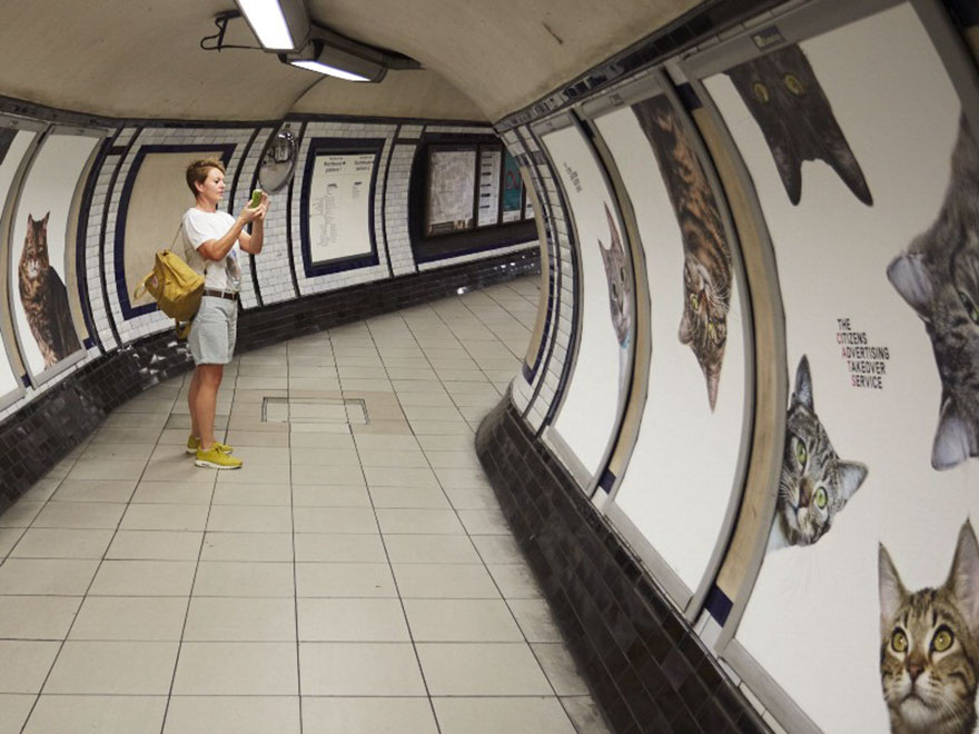 cat-ads-underground-subway-metro-london-1.jpg