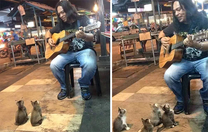 cats-listening-music-street-musician-jass-pangkor-buskers-malaysia-2.jpg
