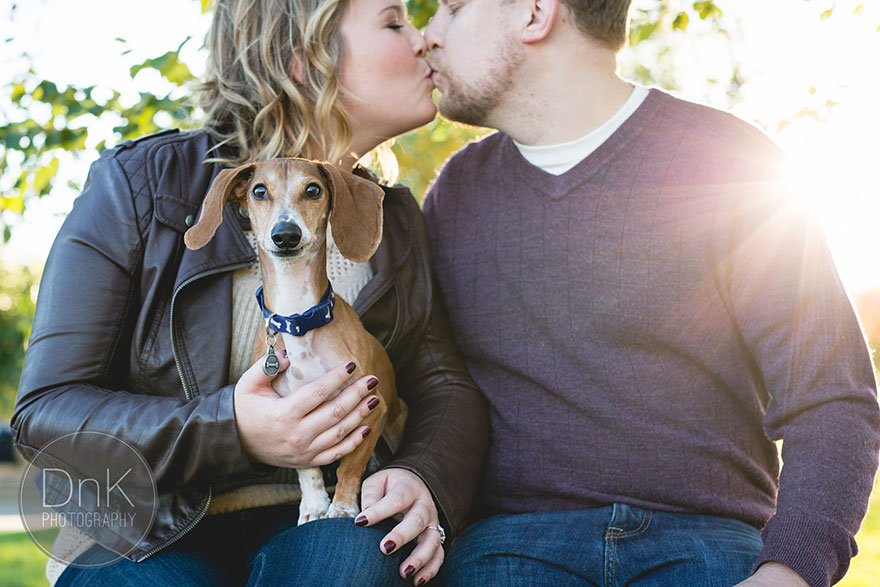 dog-photobombs-engagement-photos-karin-berdal-15.jpg