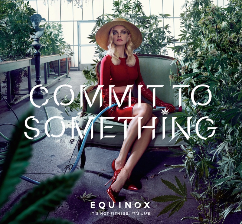 equinox-2017-campaign06.jpg