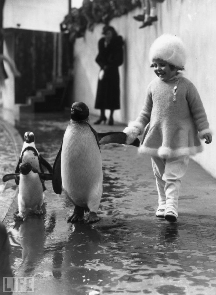 gyerekes_pingvines.jpg