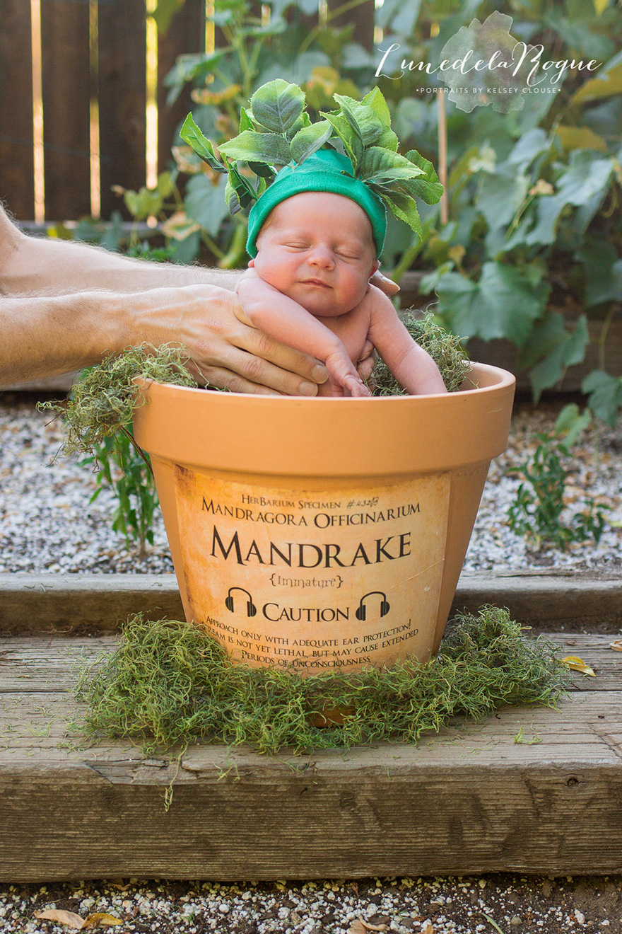 harry-potter-themed-newborn-photography-kelsey-clouse-1.jpg