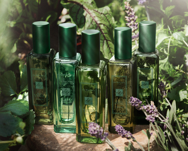jo-malone-the-herb-garden-cologne-collection-for-spring-2016-2.jpg