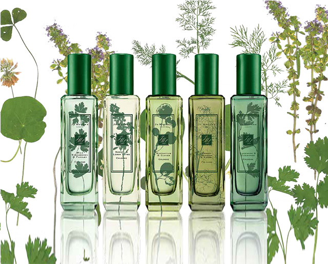 jo-malone-the-herb-garden-cologne-collection-for-spring-2016-3.jpg