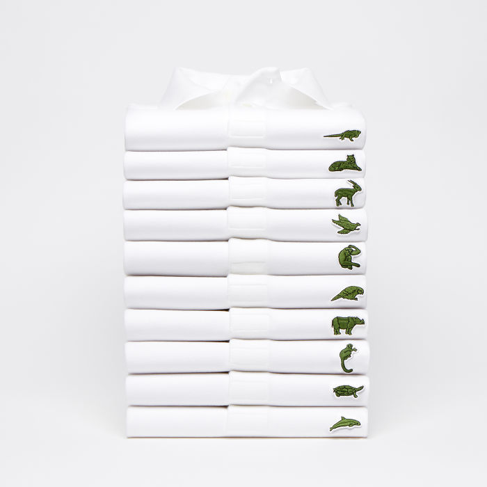 lacoste-changes-logo-to-save-threatened-species-5a97f63b3a948_700.jpg