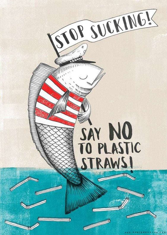 plastic_free_july.jpg