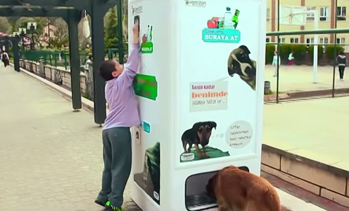 stray-dog-food-vending-machine-recycling-pugedon-4.jpg