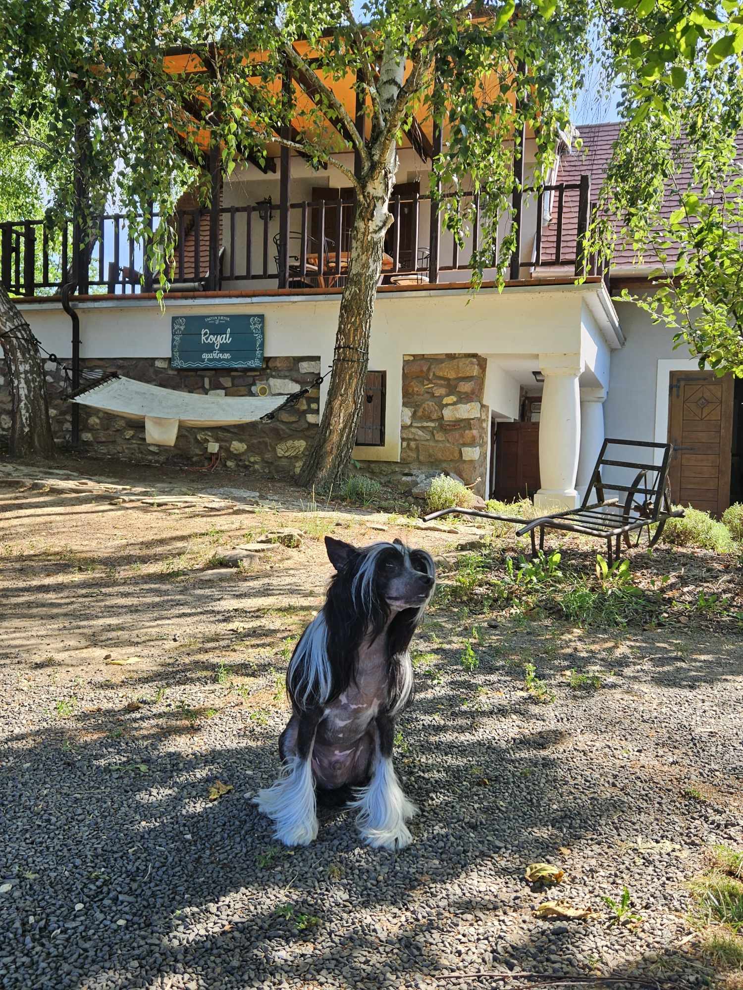 Ilyen jó arcokkal találkozhat az ember itt