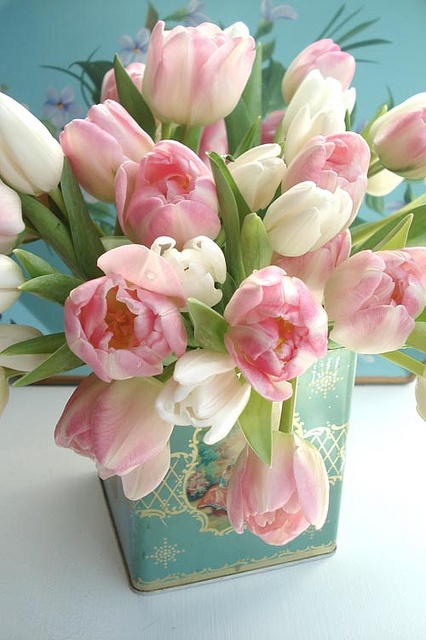 tavaszi tulipánok.jpg