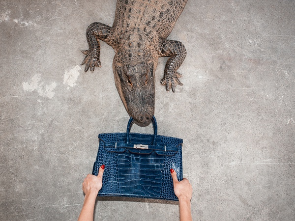 birkin-alligator-tyler-shields1.jpg