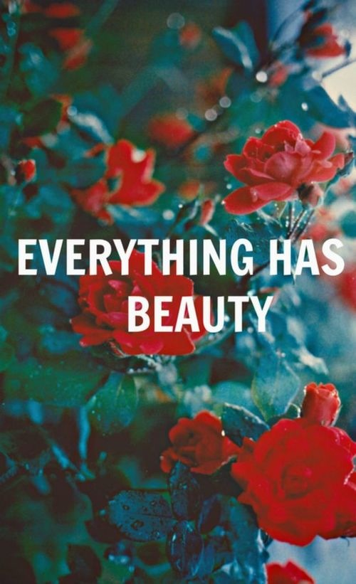 everything has beauty.jpg