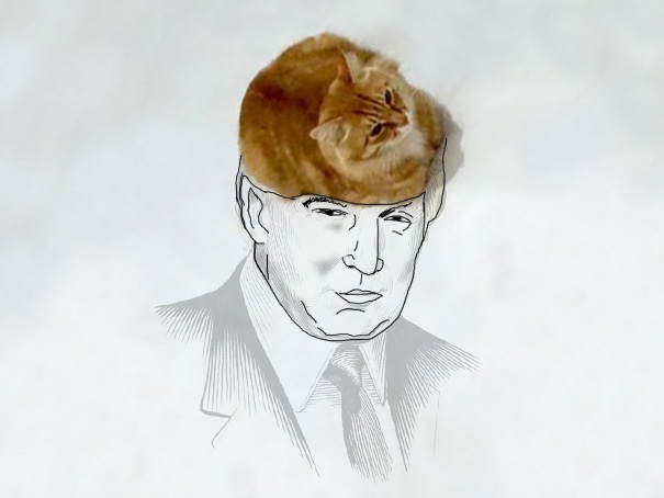 funny-doodles-on-lovely-cat-photo-donald-trump_605.jpg