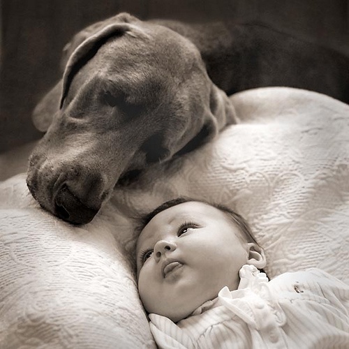 gyerek és kutya.jpg