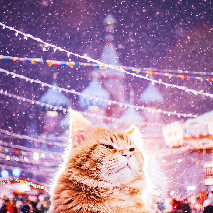 moscow-city-looked-like-a-fairytale-during-orthodox-christmas-17_700.jpg