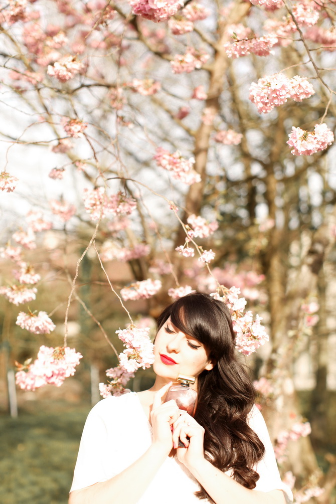 the-cherry-blossom-girl-nina-lextase-02.jpg