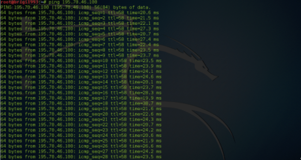pentest61.png