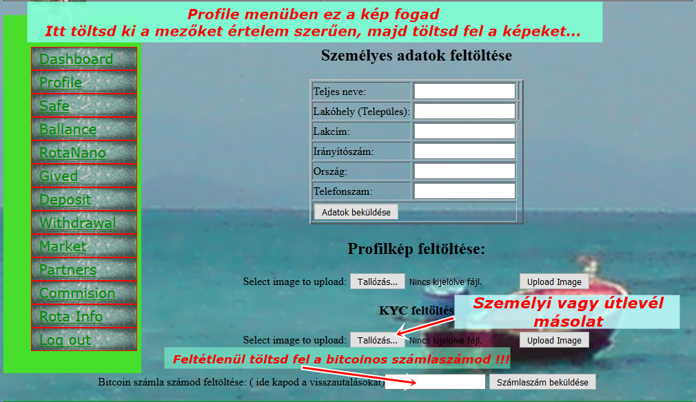 lep4.png