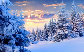 winter-snow-trees-sky-sunset-nature-landscape_s.jpg