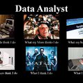 We are looking for a Junior Data Analyst