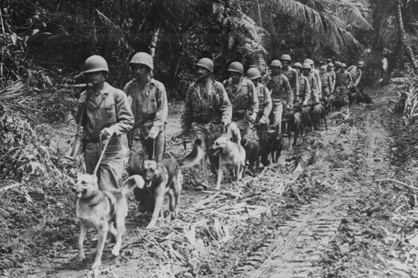 army7.jpg