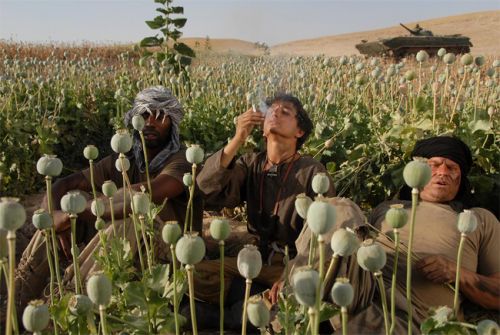 410-opium_war-en.jpg