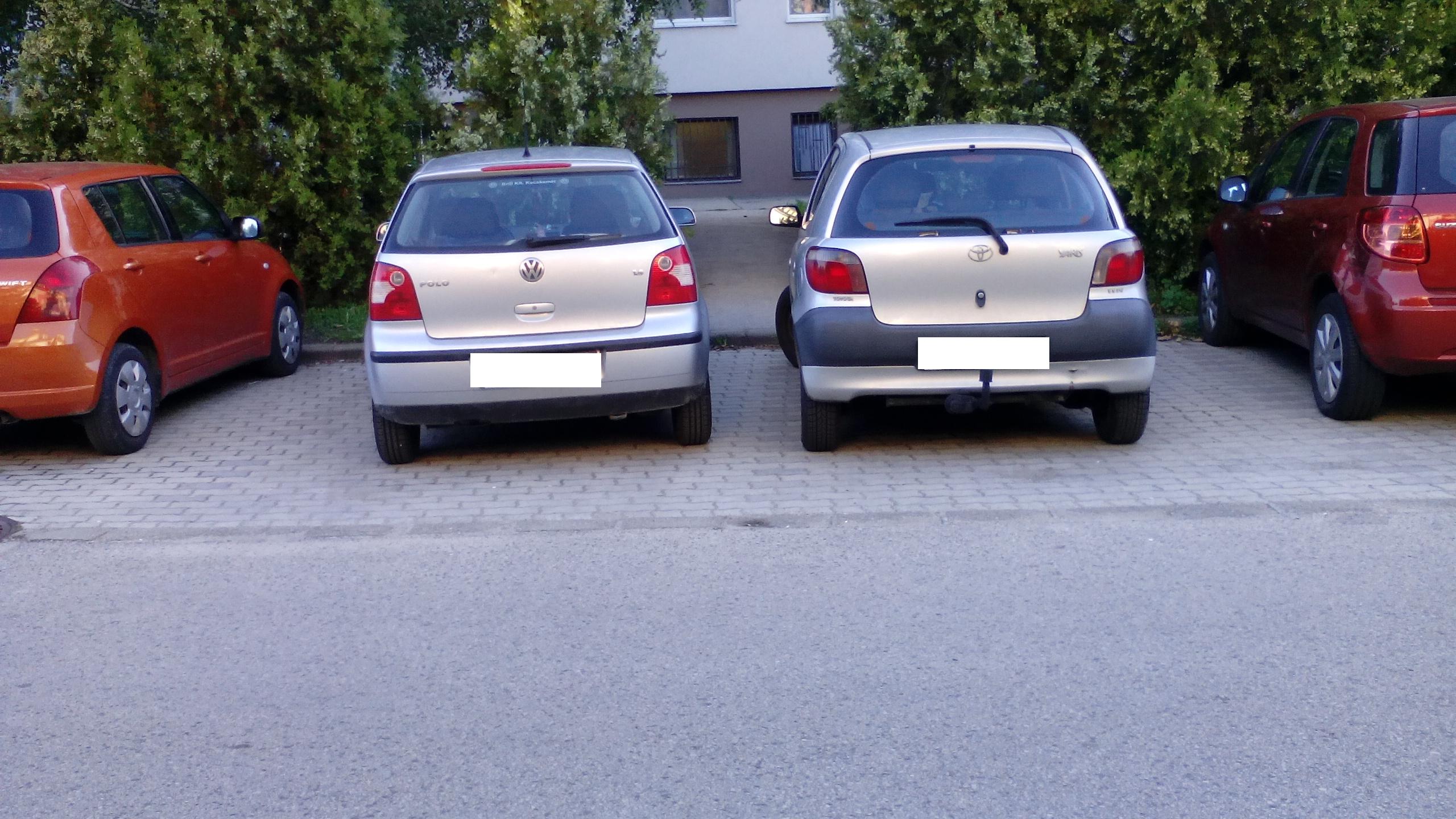 szurke szurke.JPG