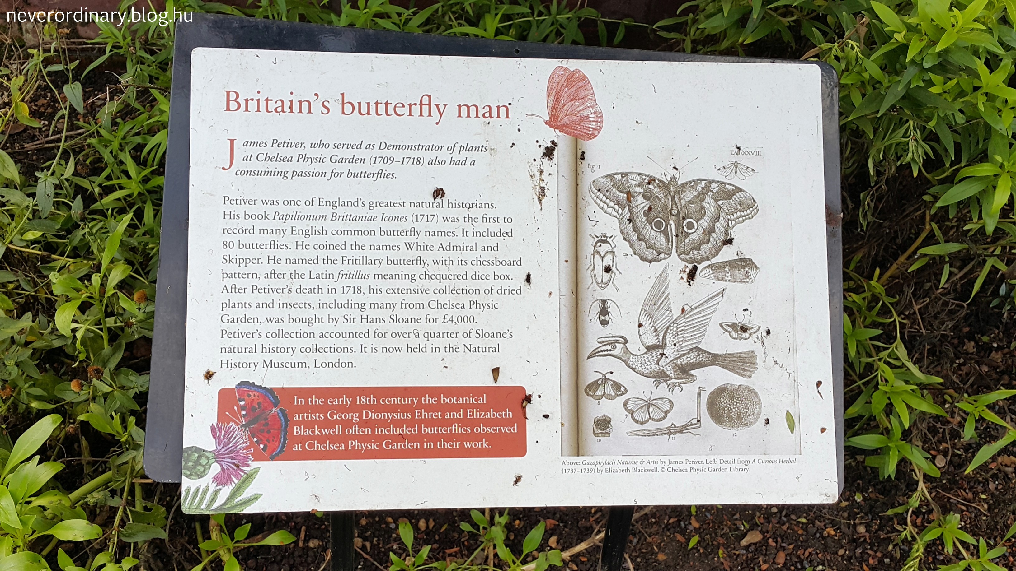 20141129_130712.jpg