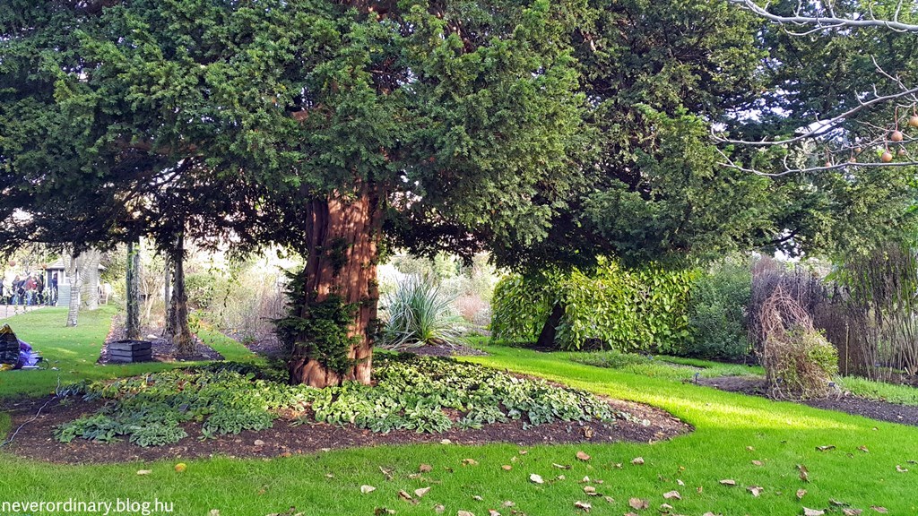 20141129_132207.jpg