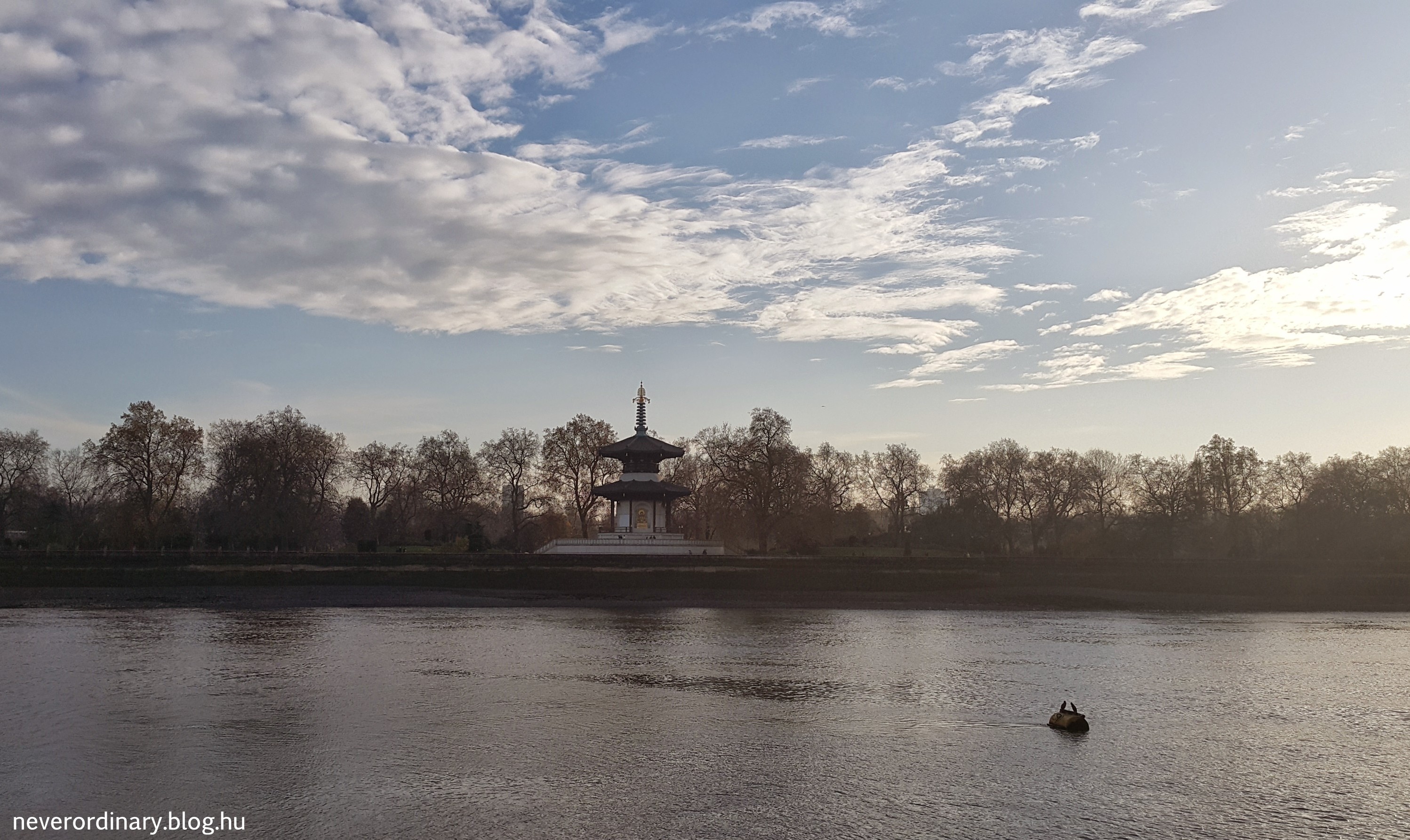 20141129_140839.jpg