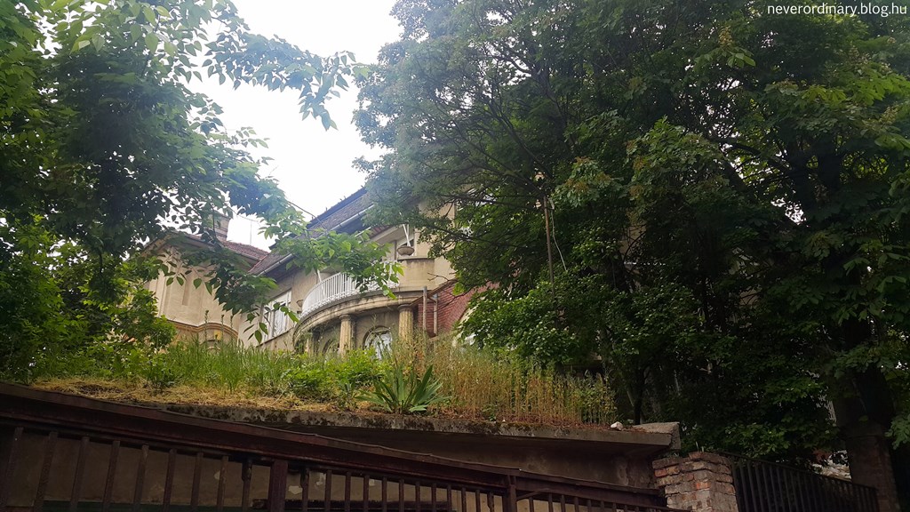 20150515_110416.jpg
