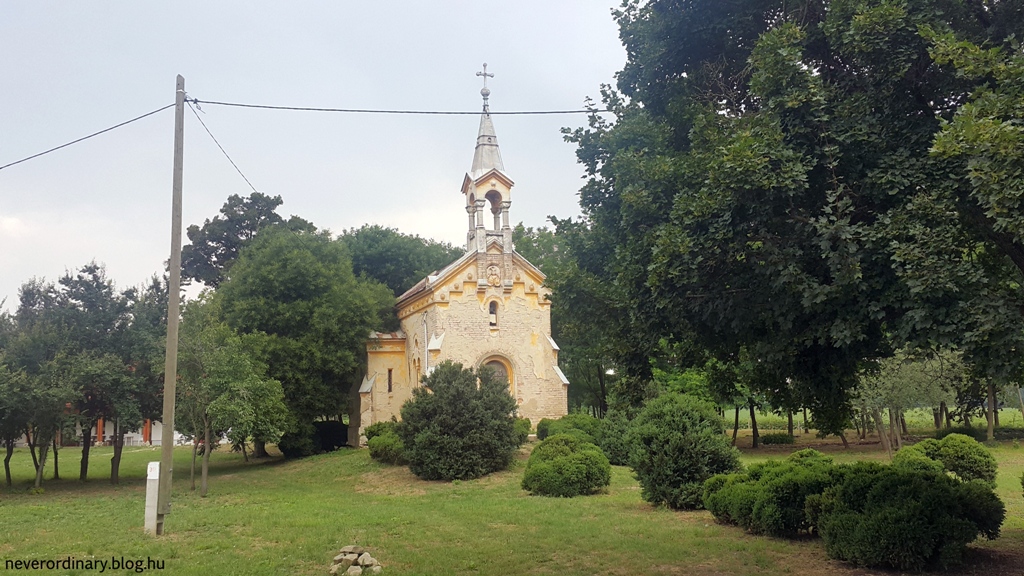 20150628_122152.jpg
