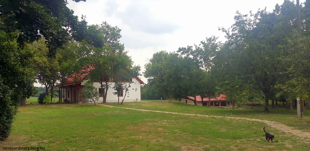 20150628_122214.jpg