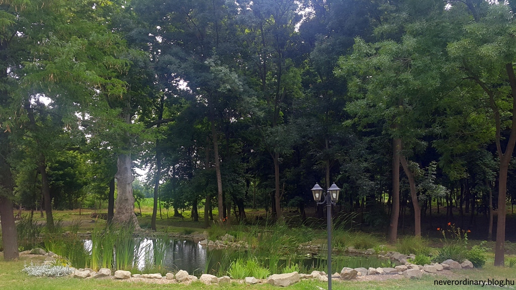 20150628_123553.jpg