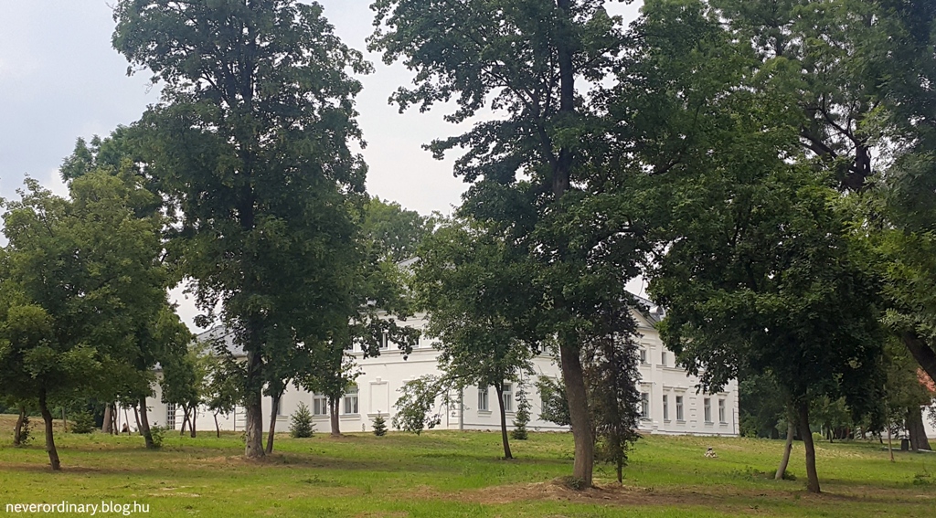 20150628_132401.jpg